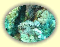 IMG_2007_05_26 13_52_21 * 2272 x 1704 * (788KB)